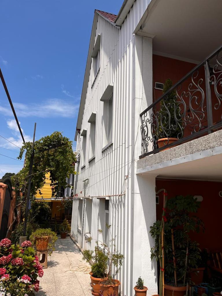 Kobuleti Guest House Chexov 24 קובולטי מראה חיצוני תמונה