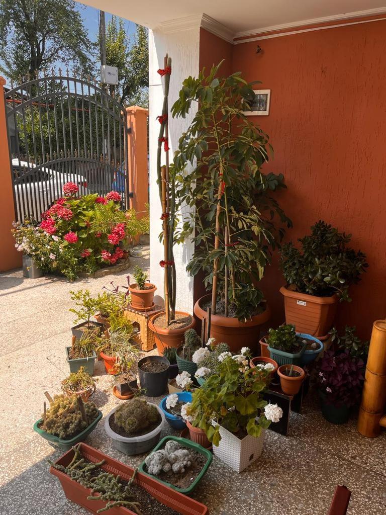 Kobuleti Guest House Chexov 24 קובולטי מראה חיצוני תמונה