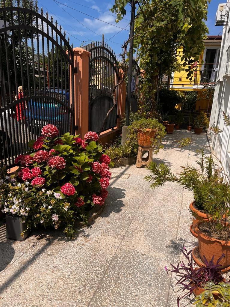 Kobuleti Guest House Chexov 24 קובולטי מראה חיצוני תמונה